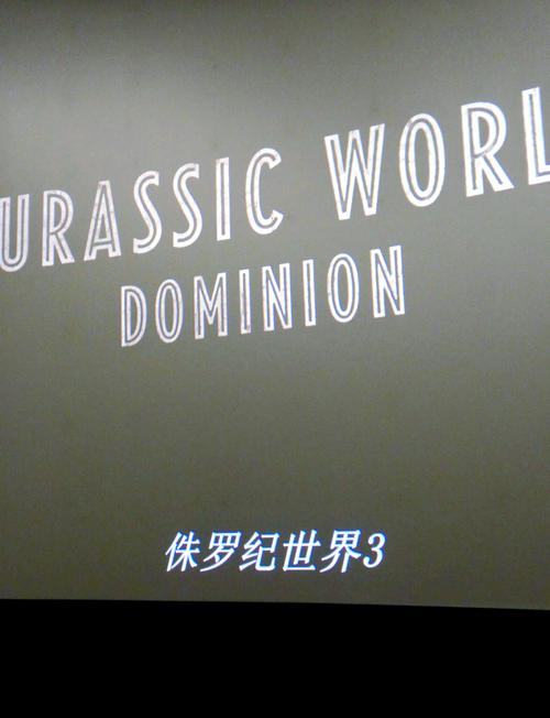 国产色在精品的相关介绍