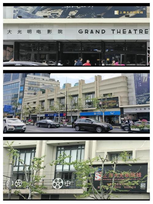 高潮毛片在线的相关介绍