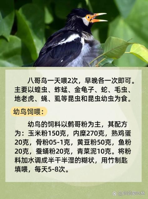 大连电影院的相关介绍