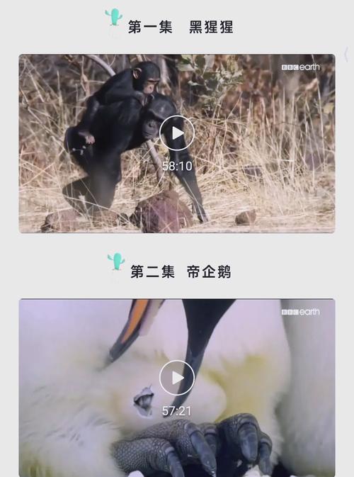 黄片久久久久久的相关介绍