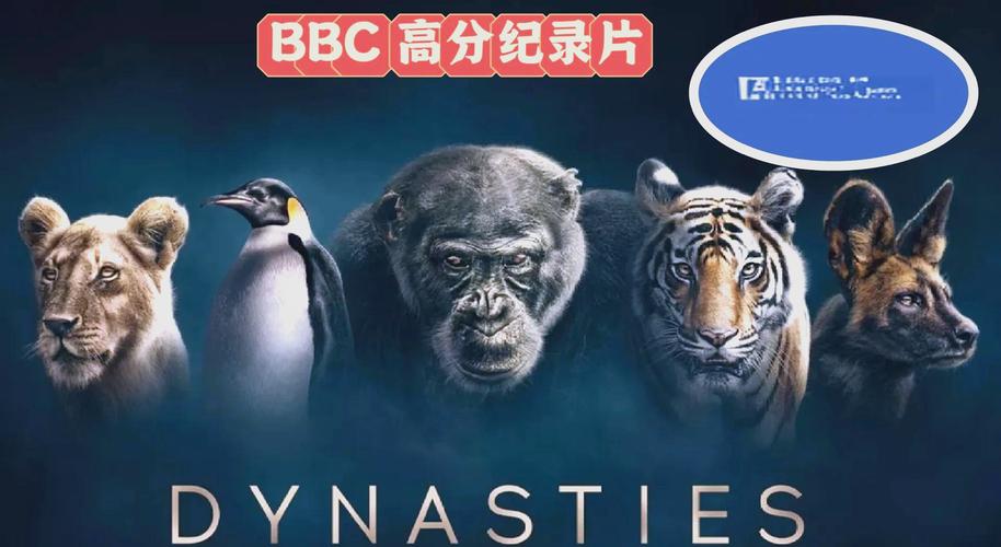 久久成人午夜激情的相关介绍