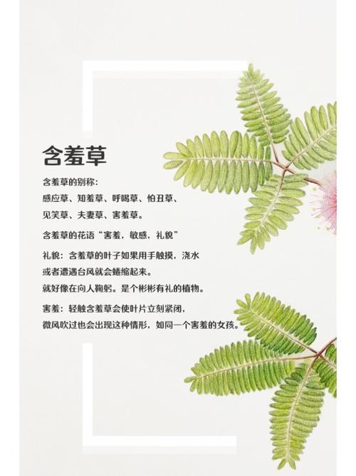 爆插流白浆视频的相关介绍