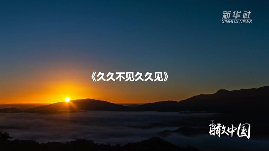 欧美熟妇成人在线的相关介绍