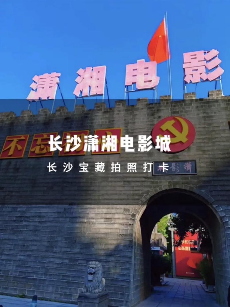 307国产麻豆毛片的相关介绍