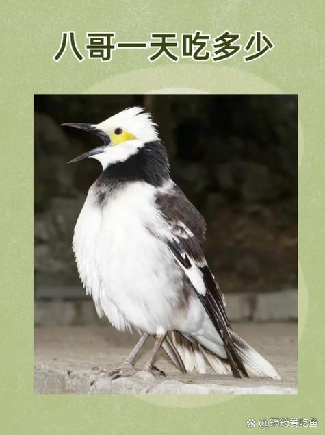 处女警花的相关介绍
