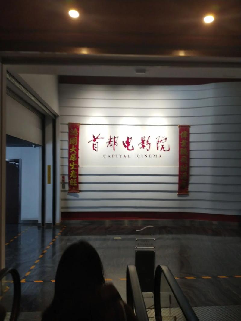 看视频的app免费下载的相关介绍