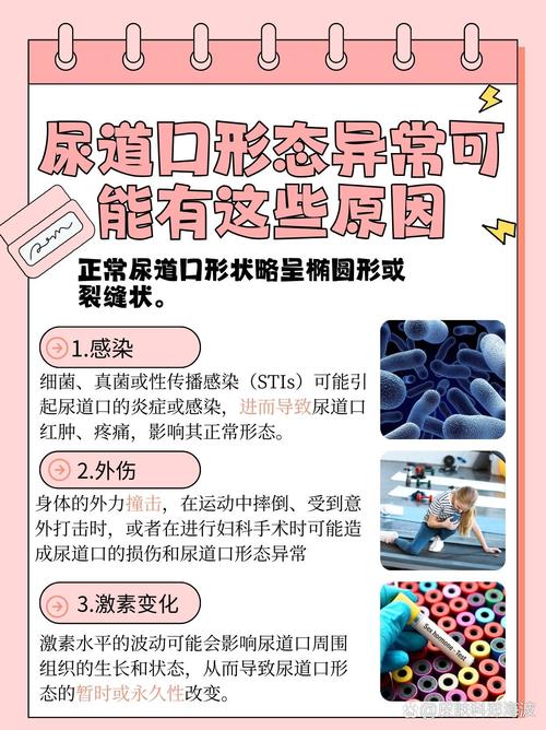 调教文 高h的相关介绍