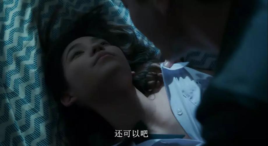 极品成人影院的相关介绍