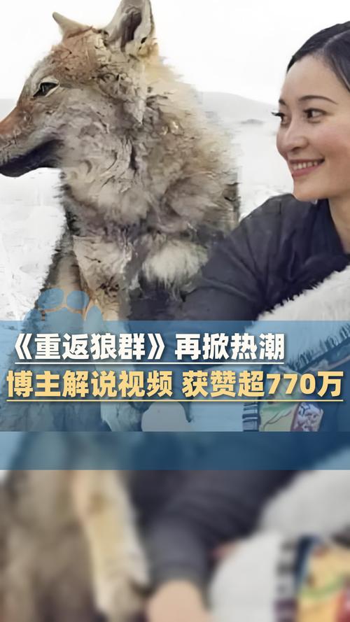 18禁免费app下载的相关介绍