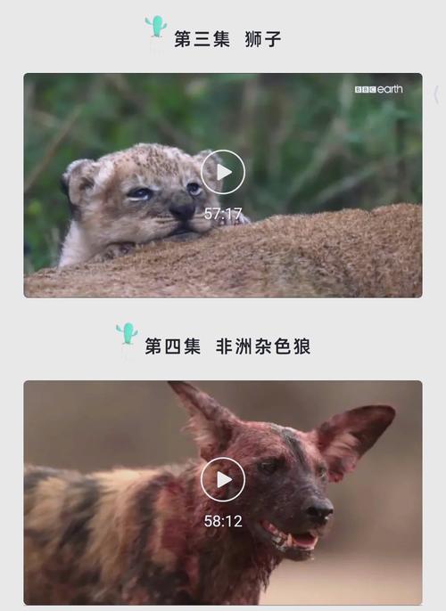 秘书大奶子的相关介绍