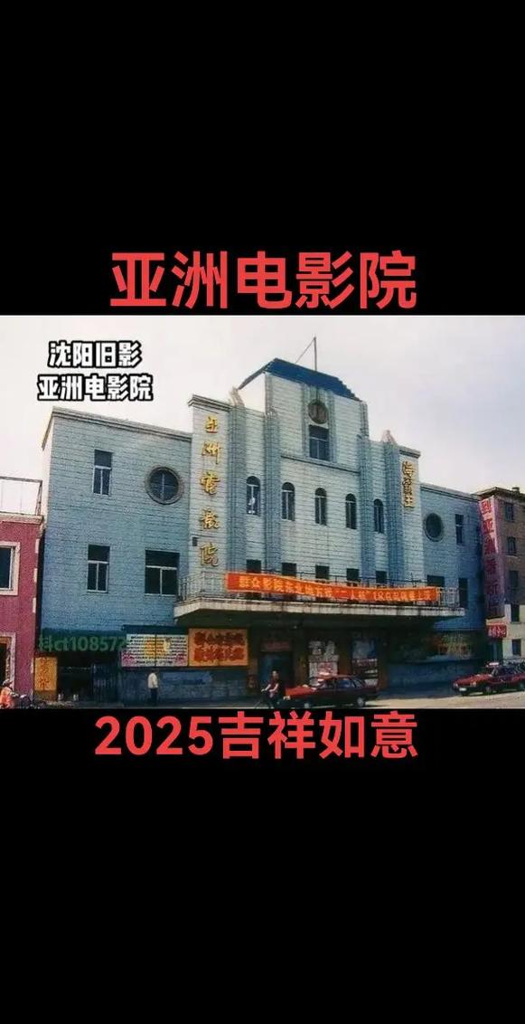 东北老妇女毛片的相关介绍