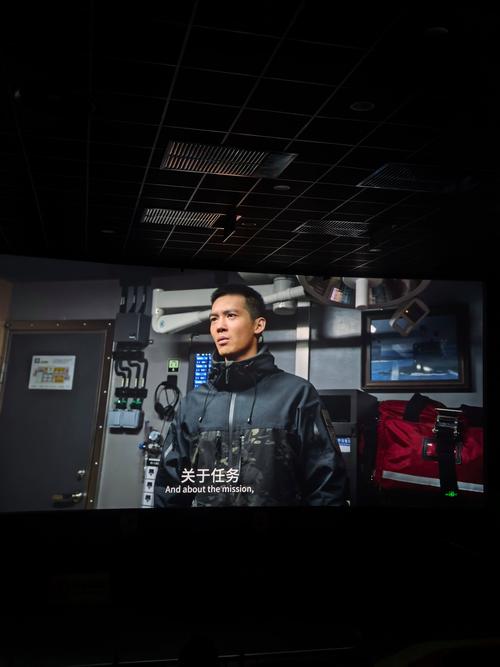 app免费下载视频的相关介绍