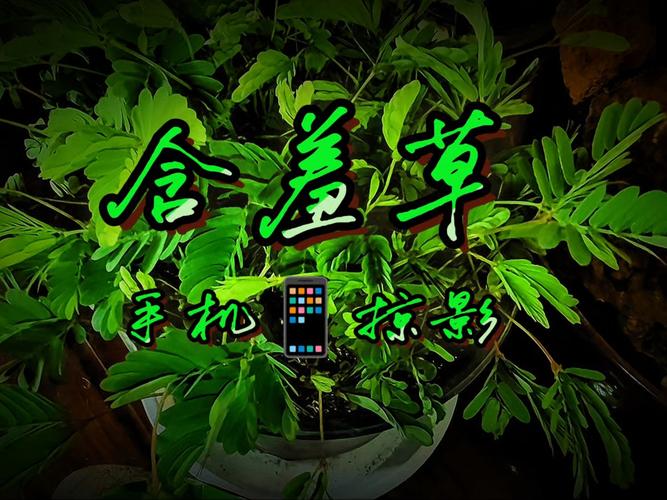 av黑丝日韩av的相关介绍