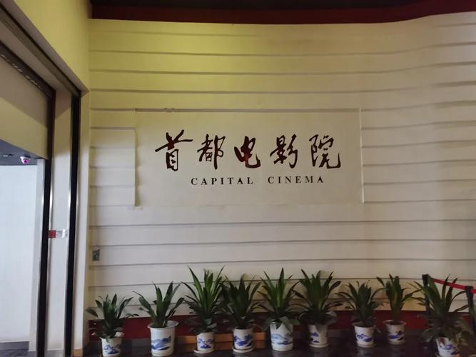 97影院官网首页的相关介绍