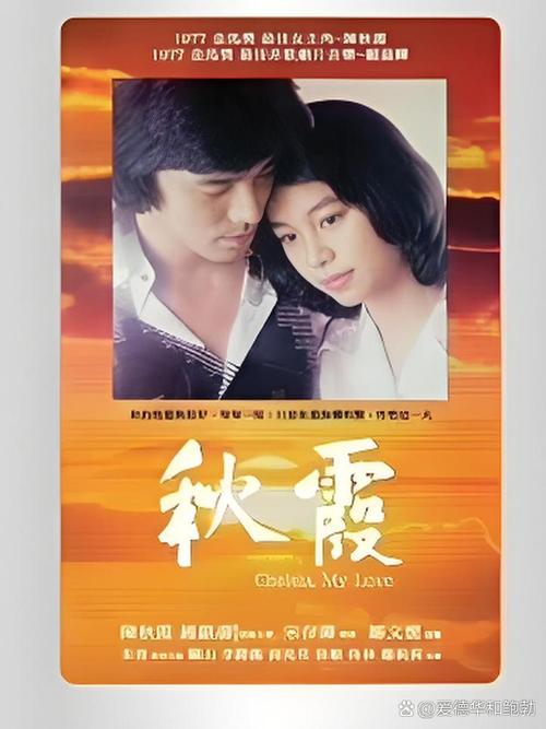 湿妹影院的相关介绍