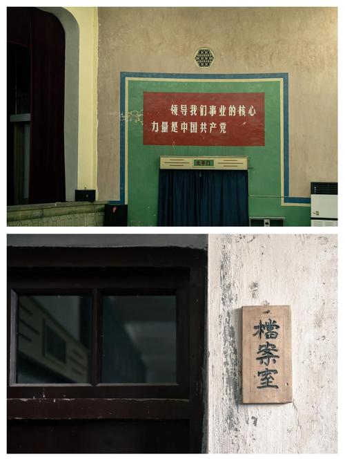 2023国产精品毛片的相关介绍