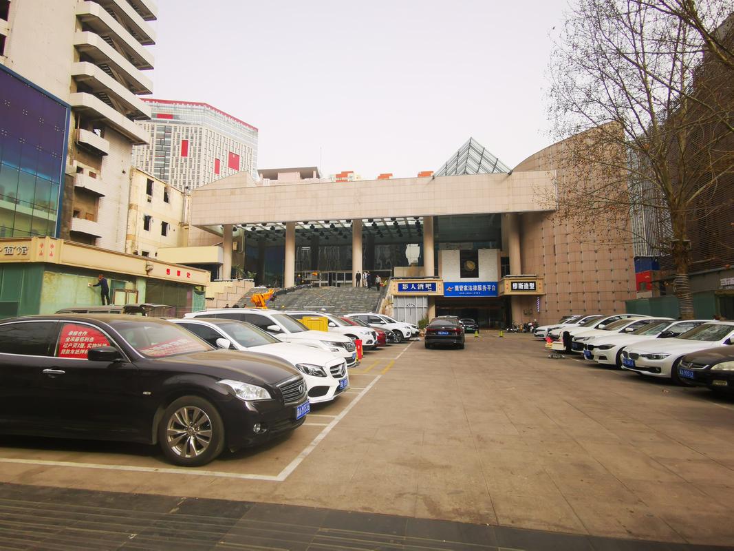se国产精品的相关介绍