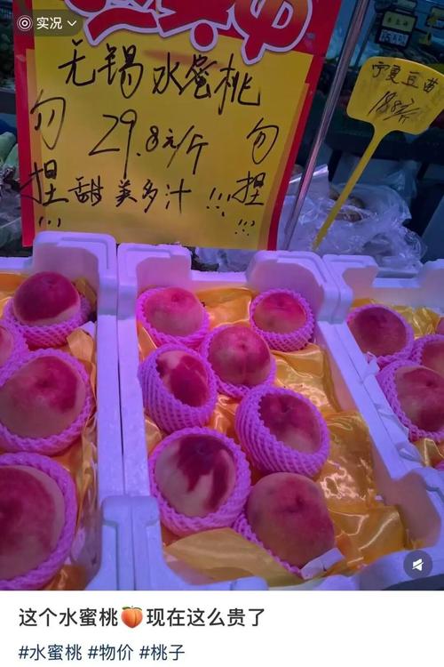 …亚洲熟女少妇一区二区三区的相关介绍