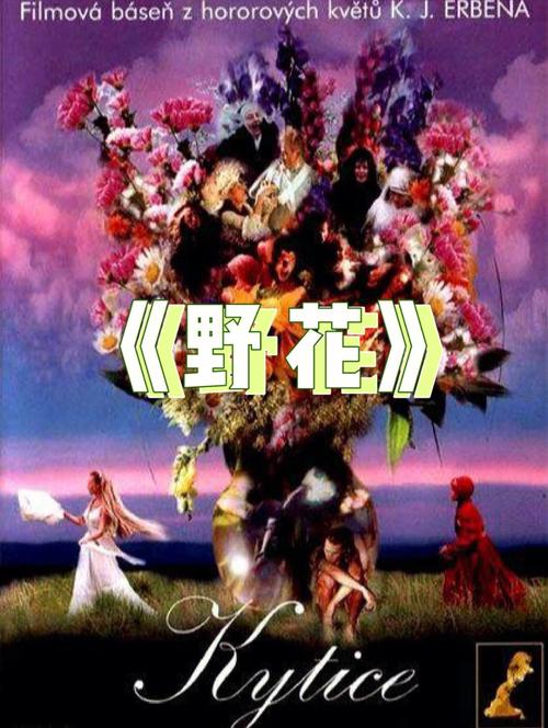 神马影院麻椒主播黄鳝门的相关介绍