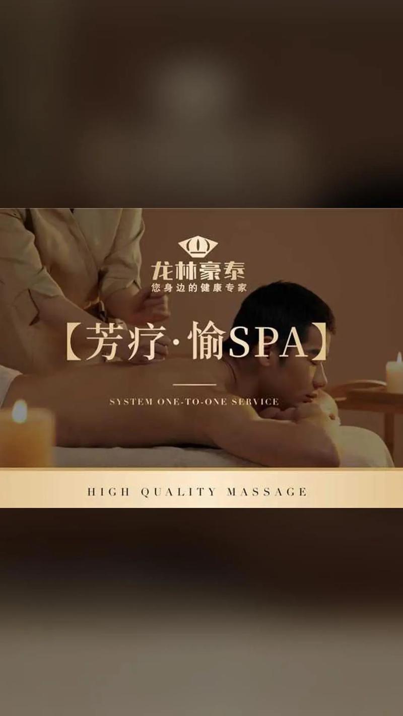 高h调教爽文的相关介绍