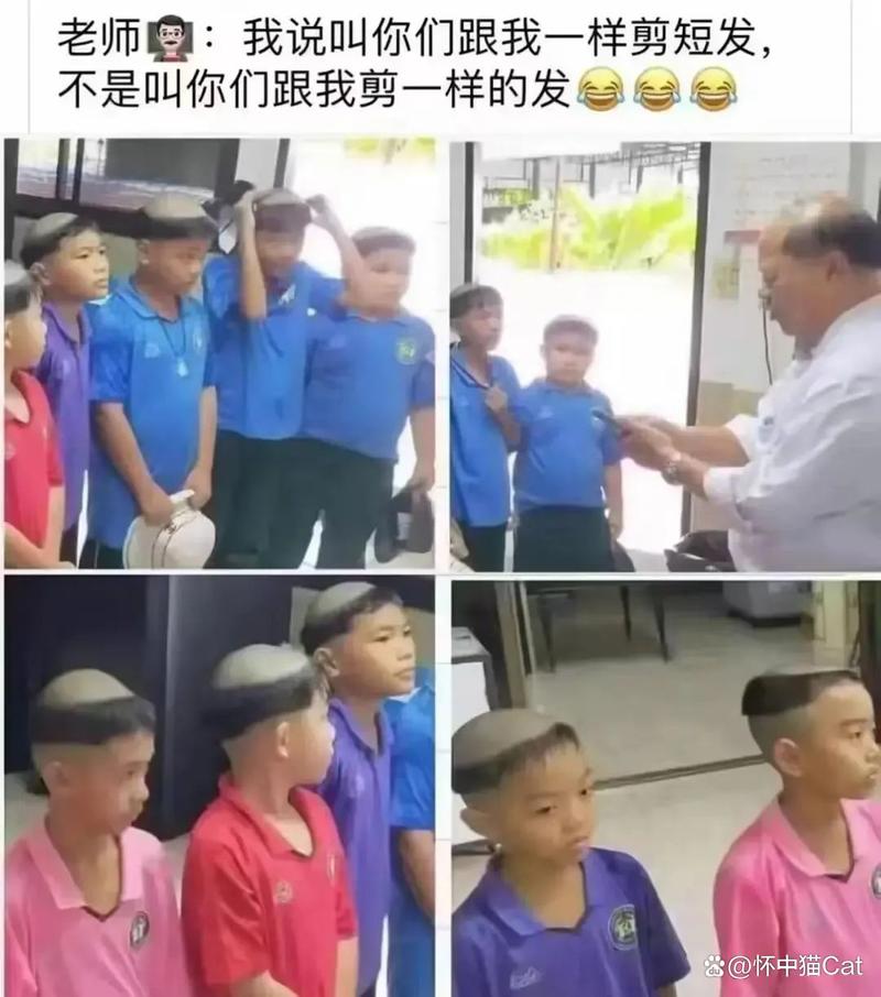 诸城电影院的相关介绍