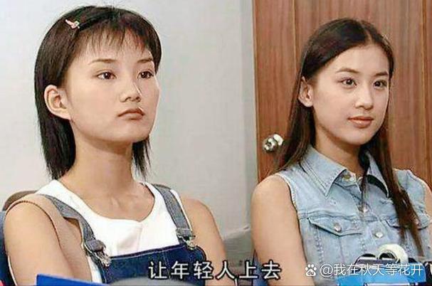 在线影院的相关介绍