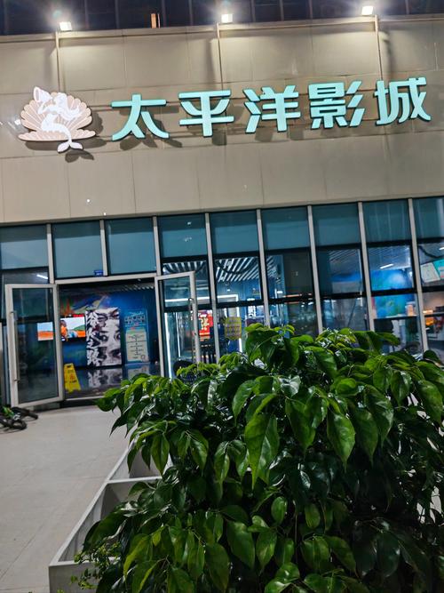 张悠雨超大尺度人体写真的相关介绍