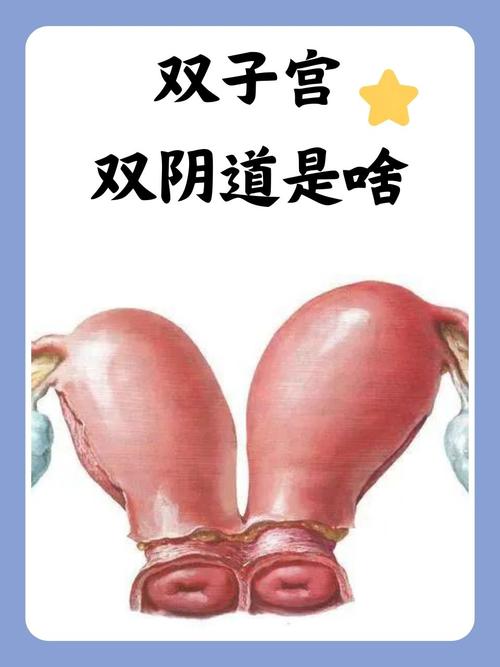 精品激情久久久的相关介绍
