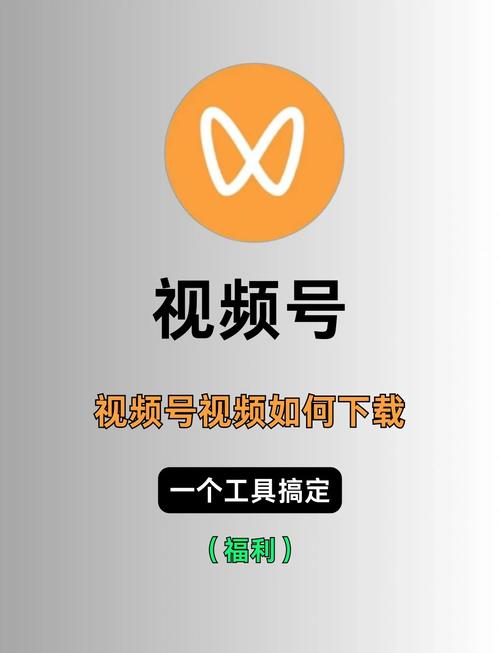 峡谷影院的相关介绍