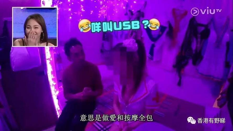 麻豆18禁在线观看的相关介绍