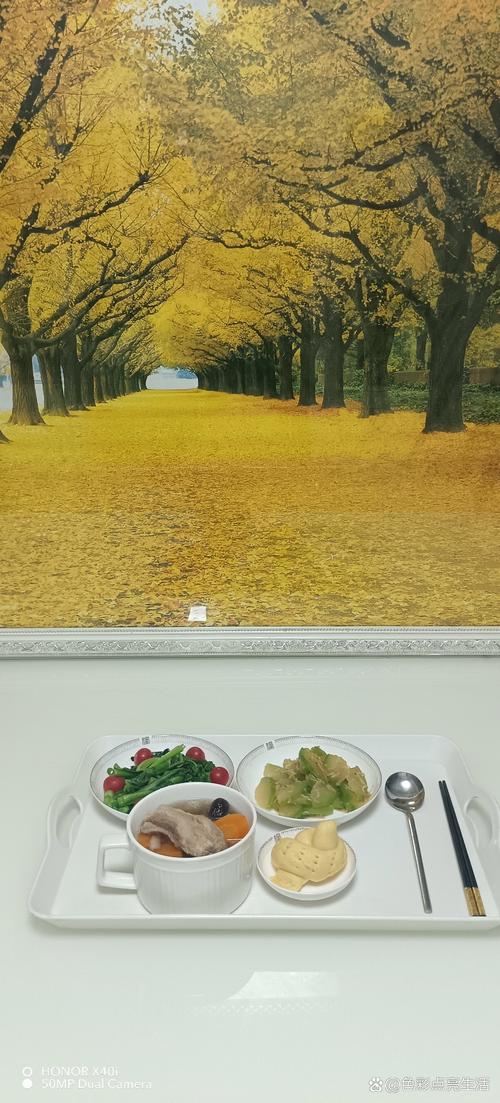 大尺度强制的相关介绍
