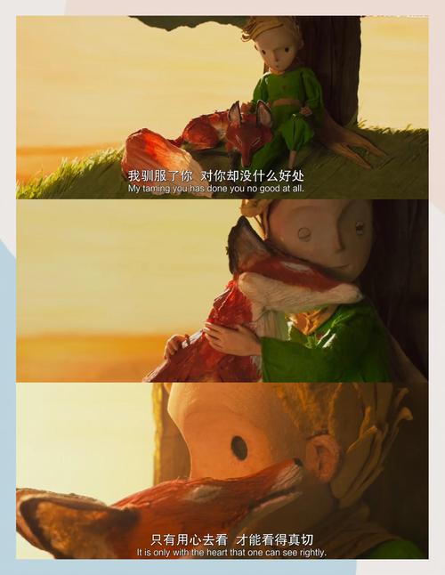 关于毛片的软件的相关介绍