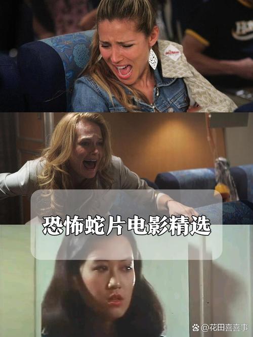 激情片一区的相关介绍