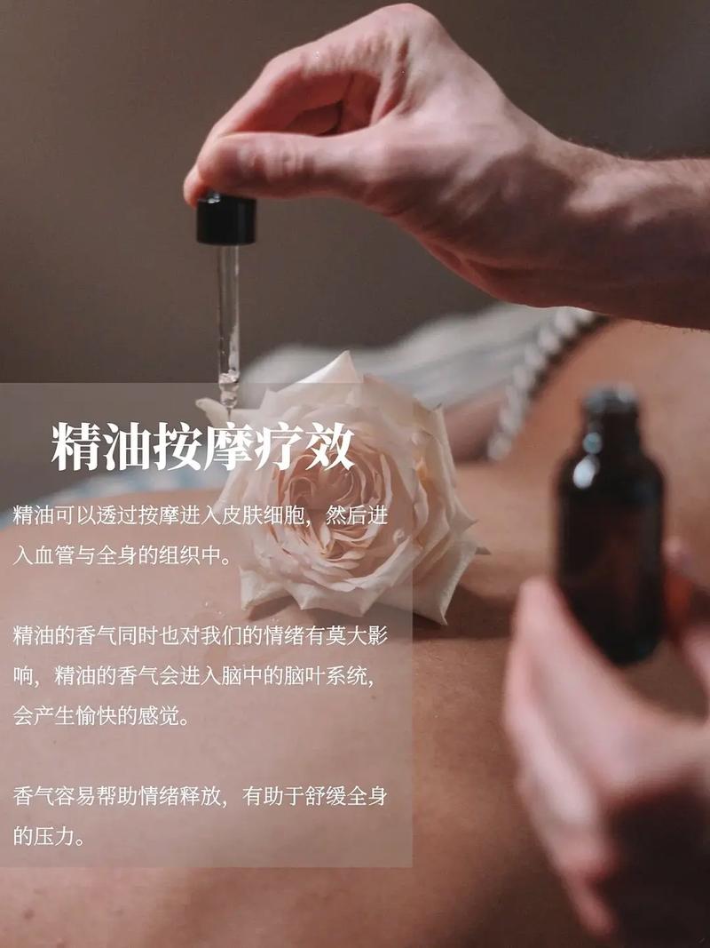 男女做羞羞动漫的相关介绍