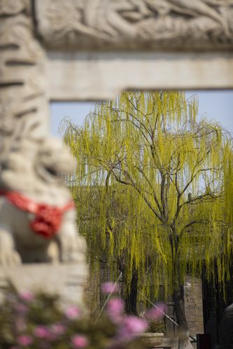 花生影院的相关介绍
