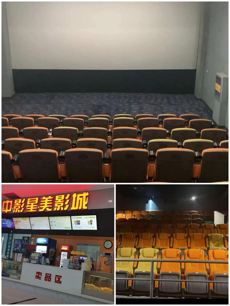 柏芝影院的相关介绍
