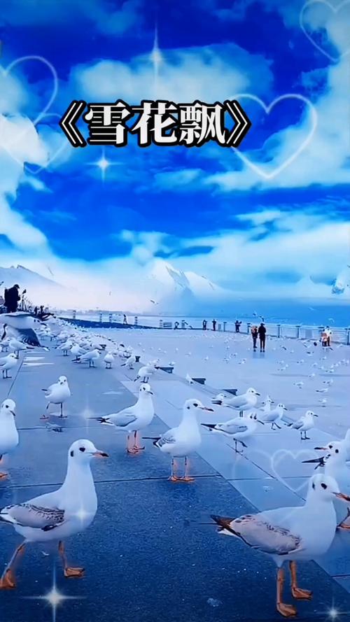 免费观看短视频的app软件下载的相关介绍