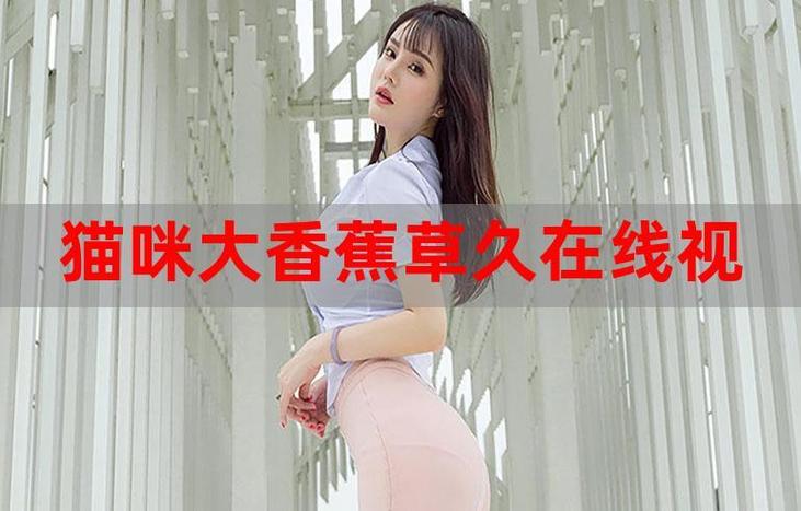 恋夜影院uc浏览器的相关介绍
