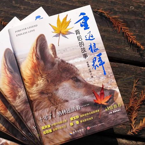 欧美老熟妇乱大交的相关介绍