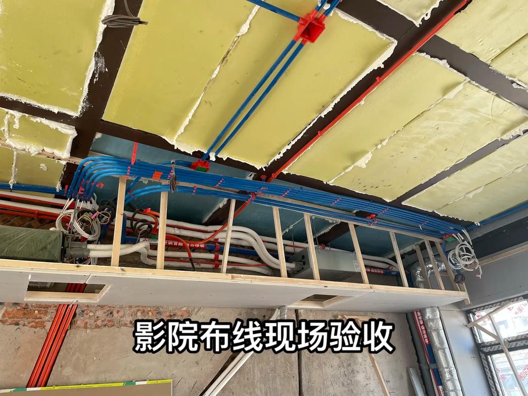 美女被强操出白浆视频网站的相关介绍