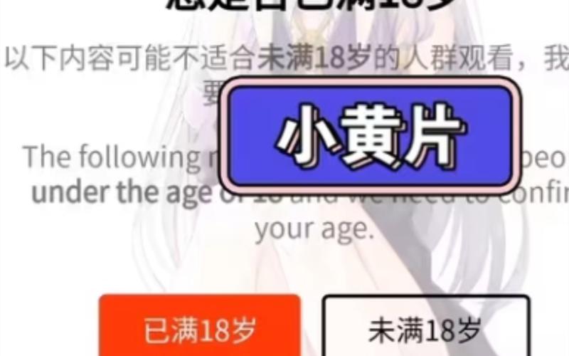 飞空精品影院的相关介绍