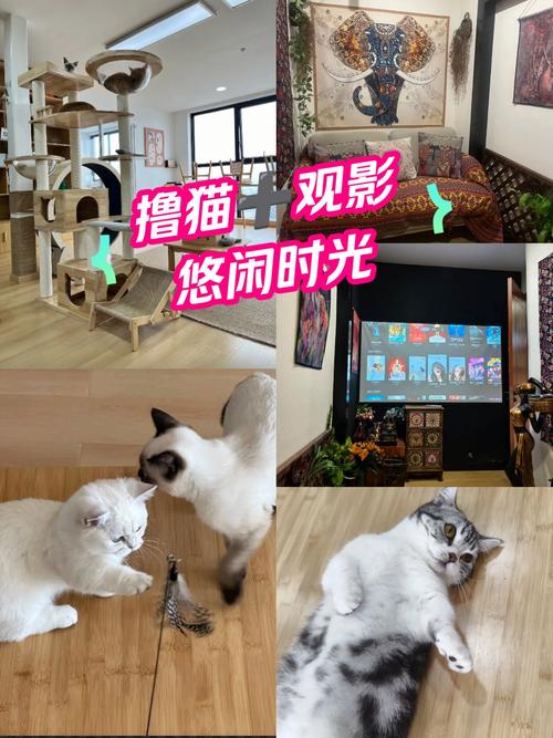 菲菲影院的相关介绍