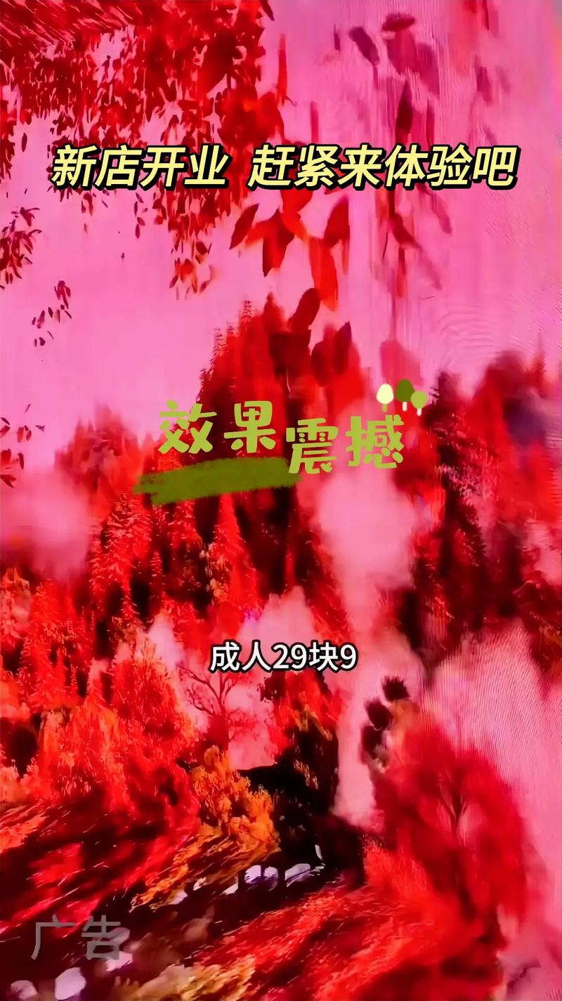 韩国伦理电影院201的相关介绍