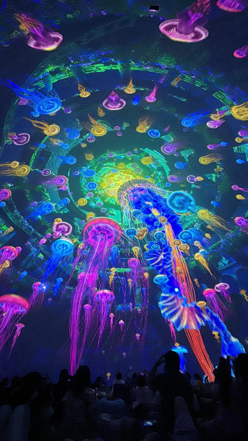 插美女冒白浆的相关介绍