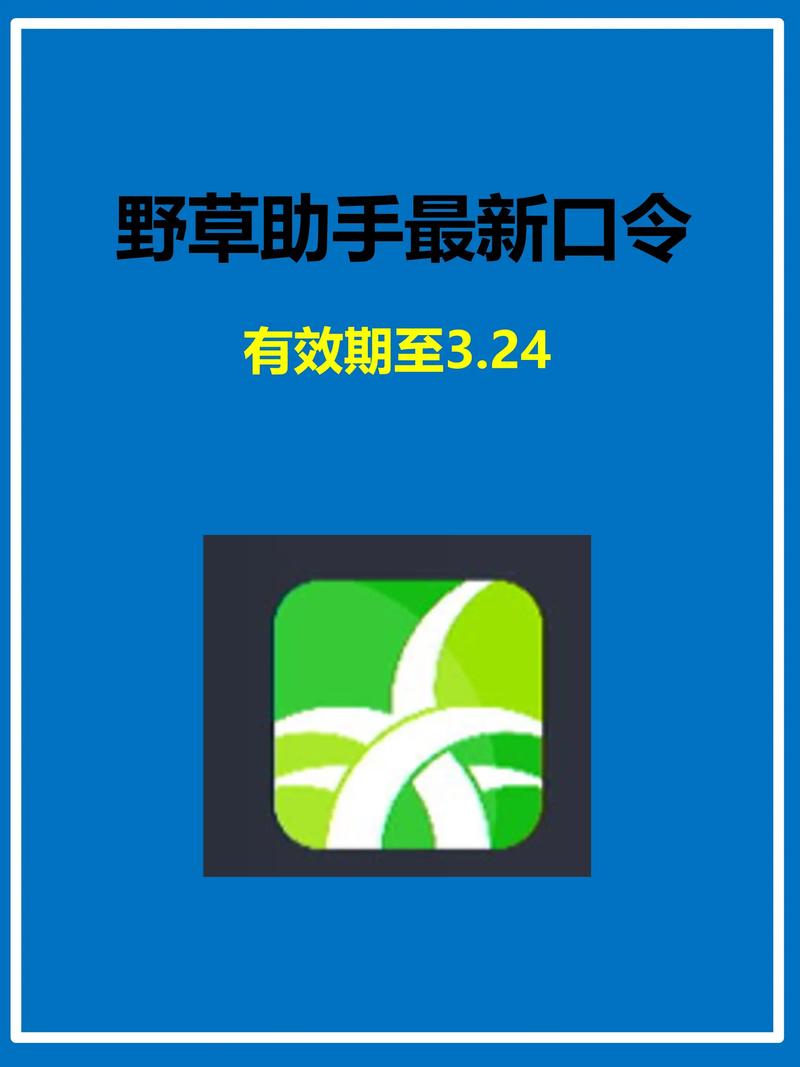 不打马赛克的毛片的相关介绍