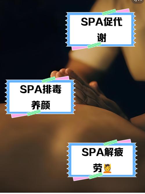 麻豆91蜜桃传媒的相关介绍