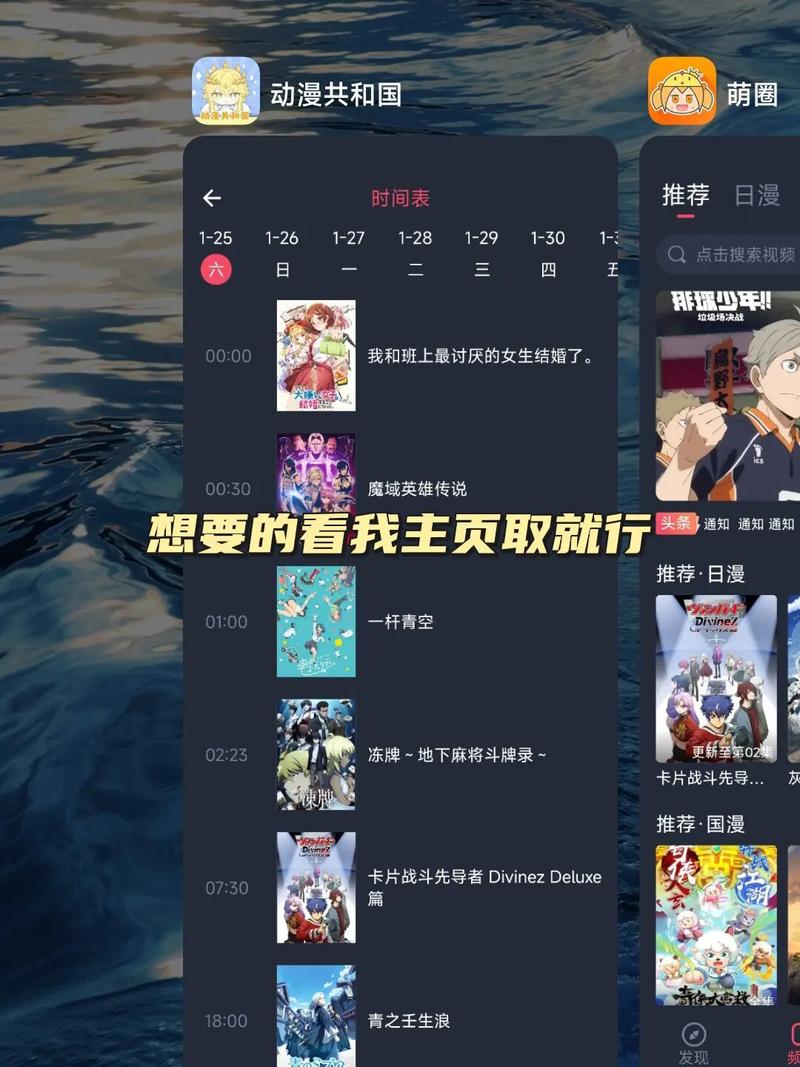 高清日韩毛片的相关介绍