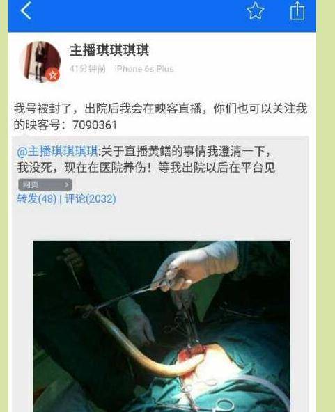 中国xxxx熟妇的相关介绍