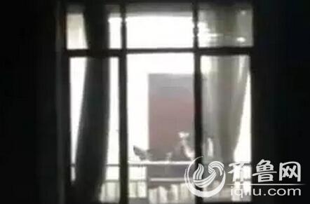 4hu影院的相关介绍