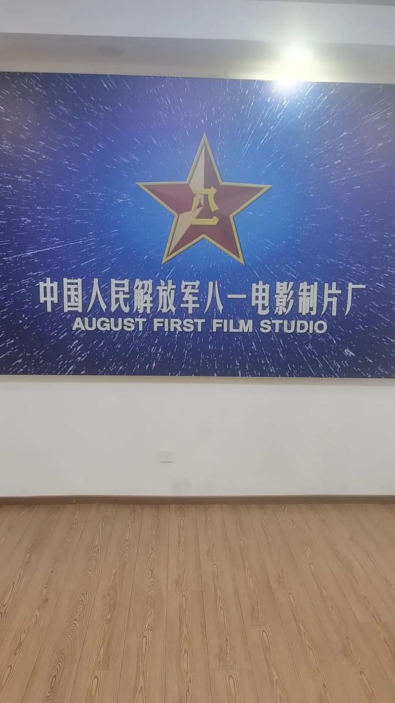 久久久午夜激情电影的相关介绍